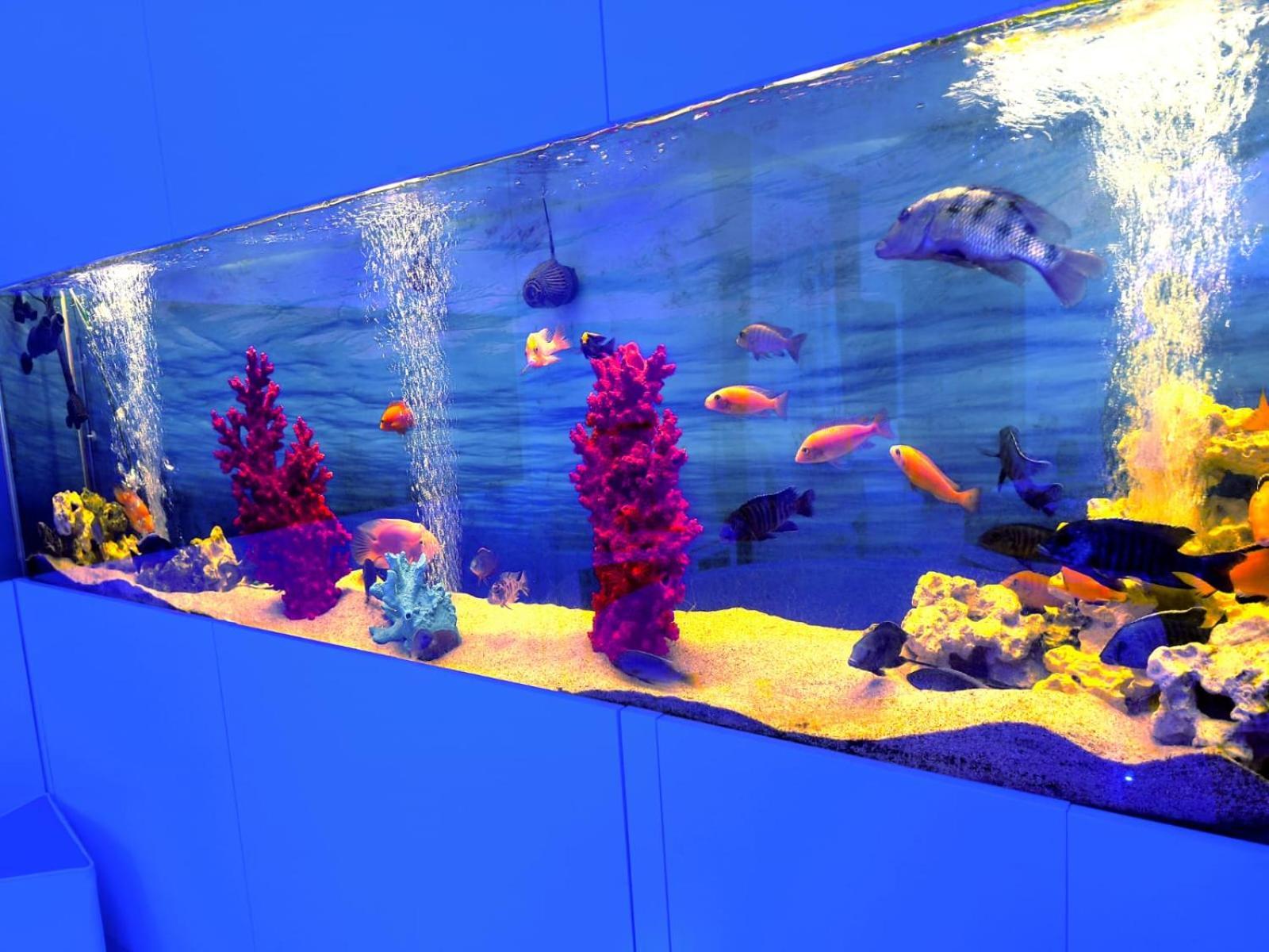 Aquaboutique Wellness&Spa Vietri Esterno foto