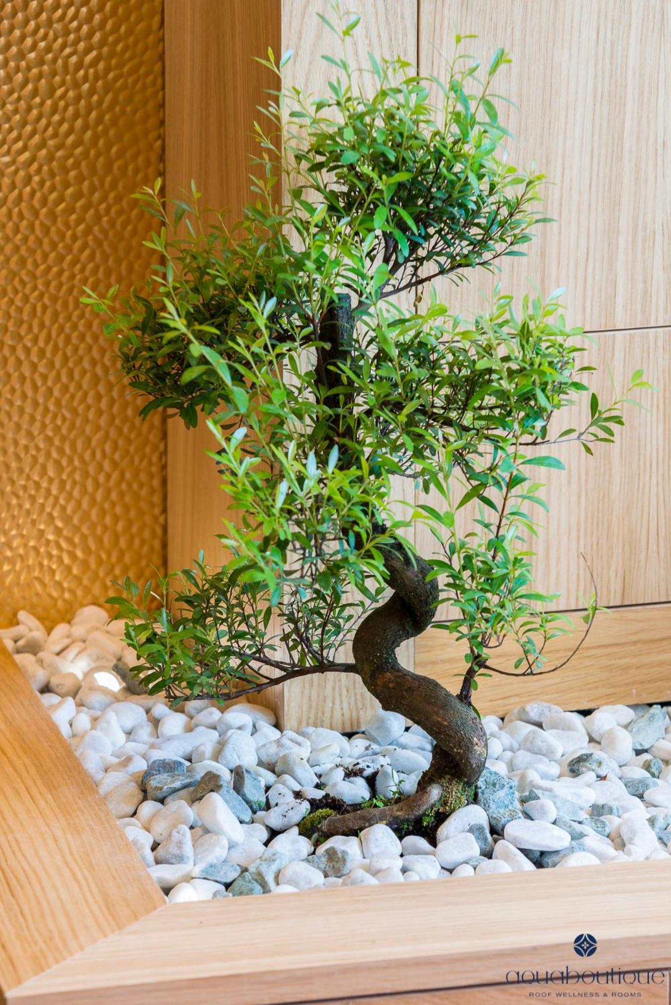 Aquaboutique Wellness&Spa Vietri Esterno foto